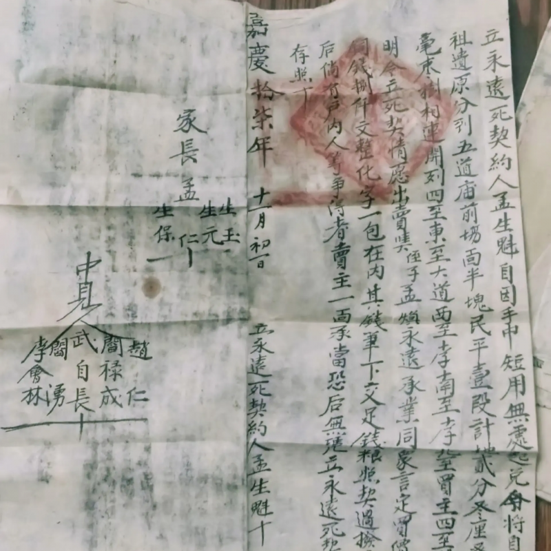 古地契“焕新”记——一份承载历史的文物如何被温柔修复