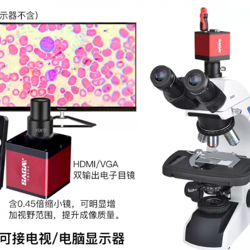 体视显微镜